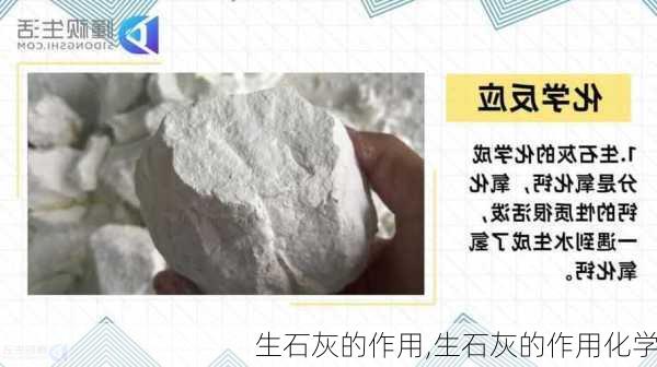 生石灰的作用,生石灰的作用化学