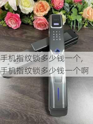 手机指纹锁多少钱一个,手机指纹锁多少钱一个啊