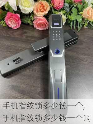 手机指纹锁多少钱一个,手机指纹锁多少钱一个啊