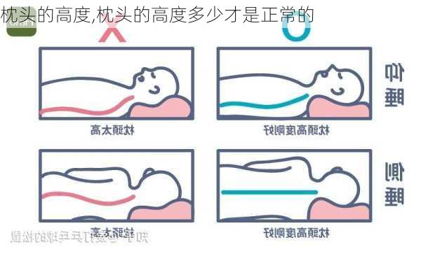 枕头的高度,枕头的高度多少才是正常的