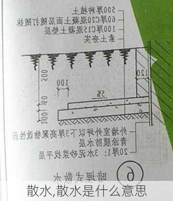 散水,散水是什么意思