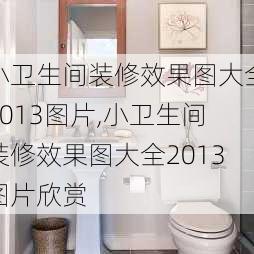 小卫生间装修效果图大全2013图片,小卫生间装修效果图大全2013图片欣赏