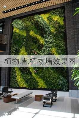 植物墙,植物墙效果图