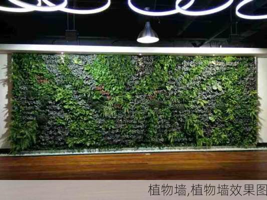 植物墙,植物墙效果图