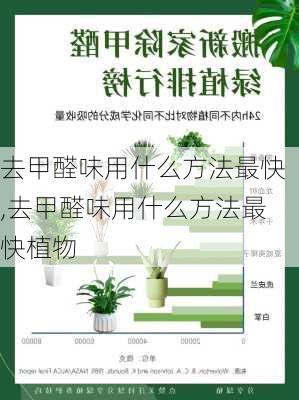 去甲醛味用什么方法最快,去甲醛味用什么方法最快植物