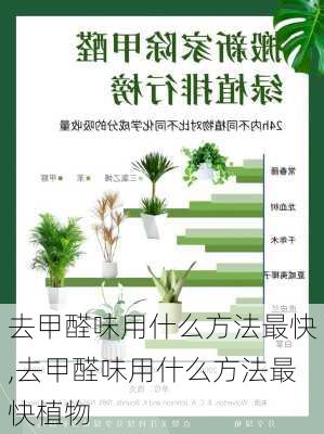 去甲醛味用什么方法最快,去甲醛味用什么方法最快植物