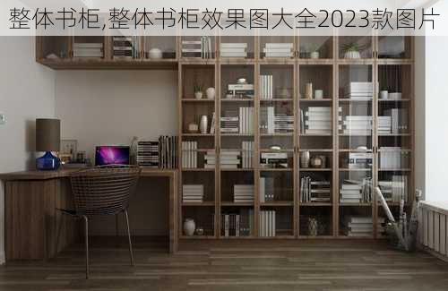 整体书柜,整体书柜效果图大全2023款图片