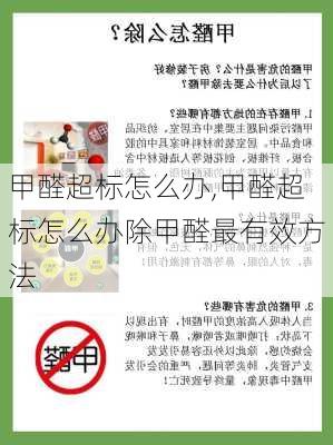 甲醛超标怎么办,甲醛超标怎么办除甲醛最有效方法