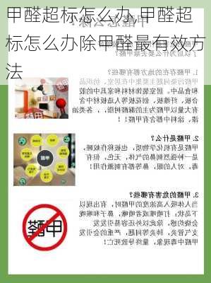 甲醛超标怎么办,甲醛超标怎么办除甲醛最有效方法