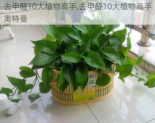 去甲醛10大植物高手,去甲醛10大植物高手奥特曼