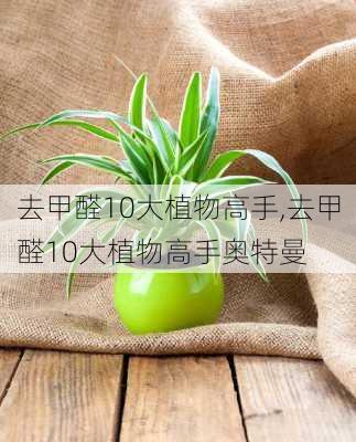 去甲醛10大植物高手,去甲醛10大植物高手奥特曼