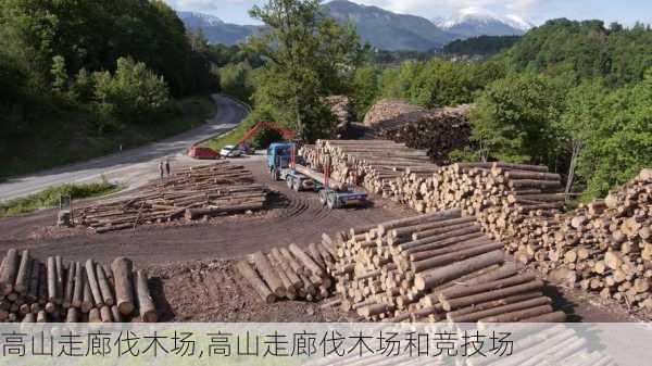 高山走廊伐木场,高山走廊伐木场和竞技场