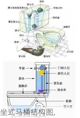 坐式马桶结构图,