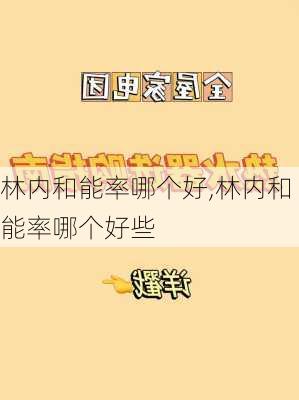 林内和能率哪个好,林内和能率哪个好些