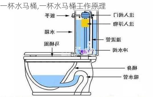 一杯水马桶,一杯水马桶工作原理