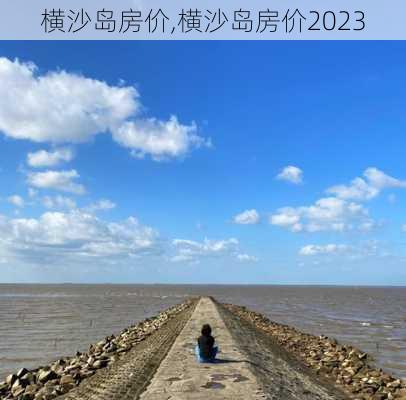 横沙岛房价,横沙岛房价2023