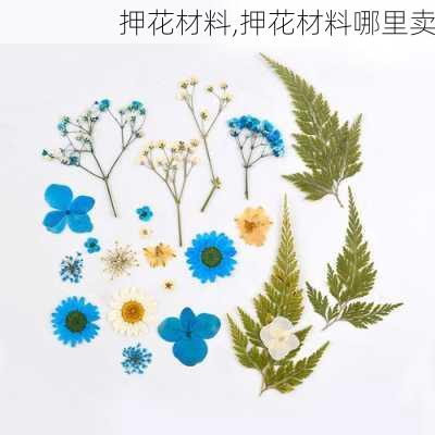 押花材料,押花材料哪里卖