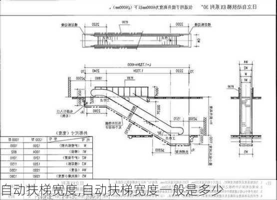 自动扶梯宽度,自动扶梯宽度一般是多少