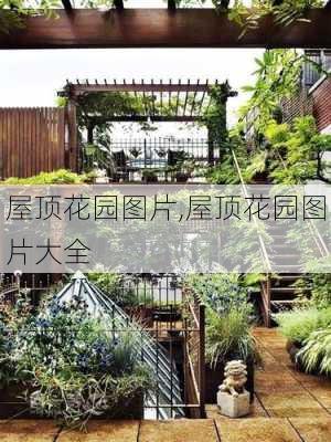 屋顶花园图片,屋顶花园图片大全