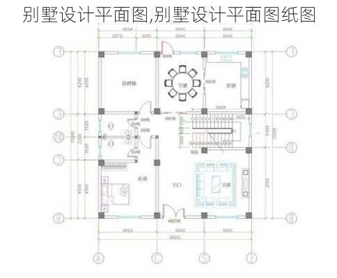 别墅设计平面图,别墅设计平面图纸图