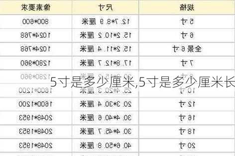 5寸是多少厘米,5寸是多少厘米长