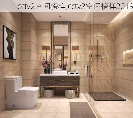 cctv2空间榜样,cctv2空间榜样2019