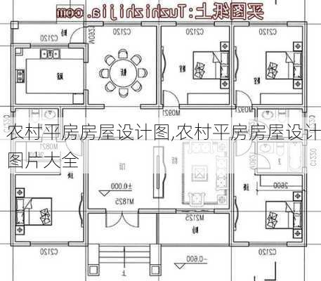 农村平房房屋设计图,农村平房房屋设计图片大全