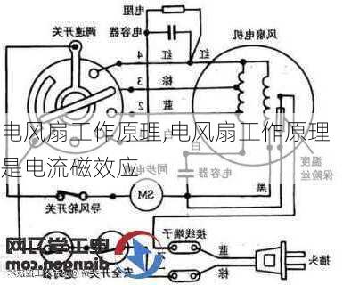 电风扇工作原理,电风扇工作原理是电流磁效应