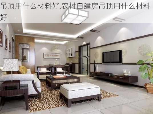 吊顶用什么材料好,农村自建房吊顶用什么材料好