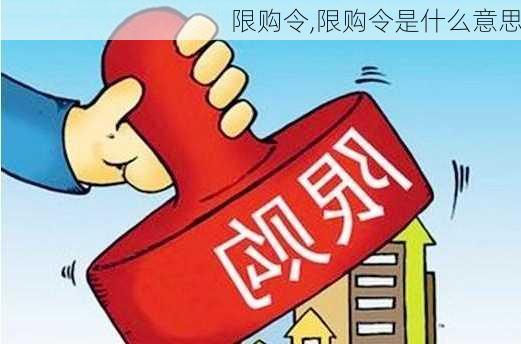 限购令,限购令是什么意思