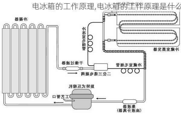 电冰箱的工作原理,电冰箱的工作原理是什么