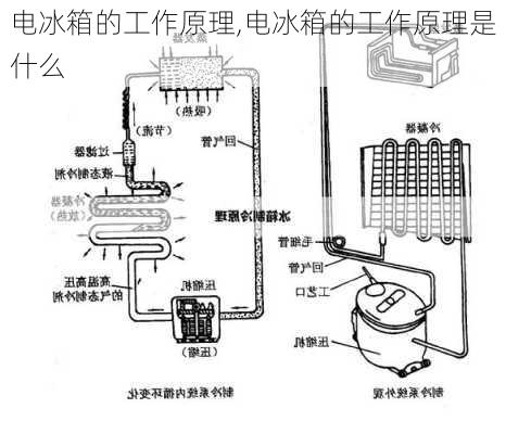 电冰箱的工作原理,电冰箱的工作原理是什么