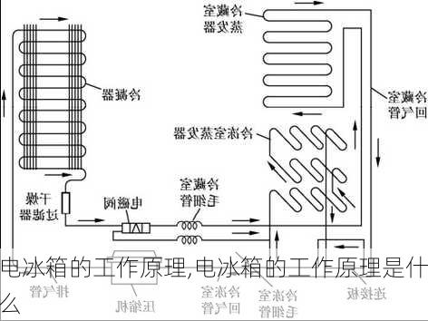 电冰箱的工作原理,电冰箱的工作原理是什么