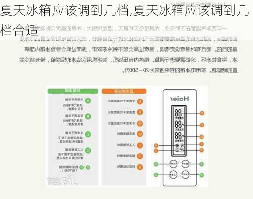 夏天冰箱应该调到几档,夏天冰箱应该调到几档合适