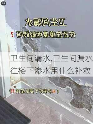 卫生间漏水,卫生间漏水往楼下渗水用什么补救