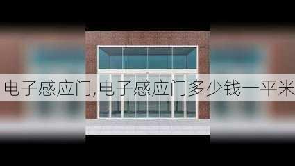 电子感应门,电子感应门多少钱一平米