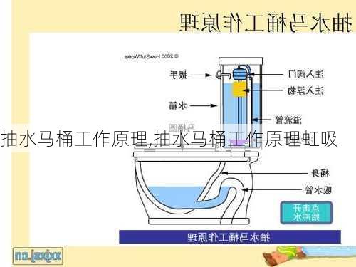 抽水马桶工作原理,抽水马桶工作原理虹吸