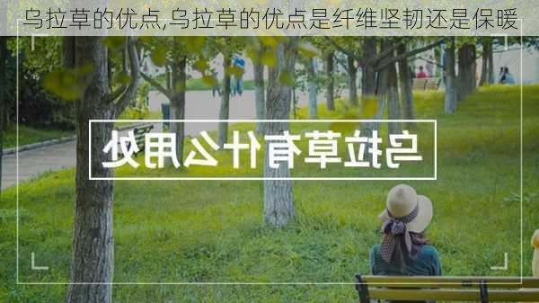 乌拉草的优点,乌拉草的优点是纤维坚韧还是保暖