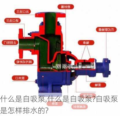 什么是自吸泵,什么是自吸泵?自吸泵是怎样排水的?