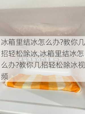 冰箱里结冰怎么办?教你几招轻松除冰,冰箱里结冰怎么办?教你几招轻松除冰视频