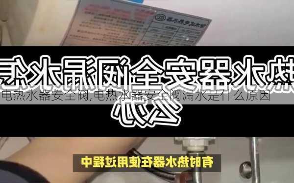 电热水器安全阀,电热水器安全阀漏水是什么原因