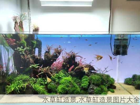 水草缸造景,水草缸造景图片大全