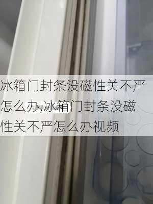 冰箱门封条没磁性关不严怎么办,冰箱门封条没磁性关不严怎么办视频