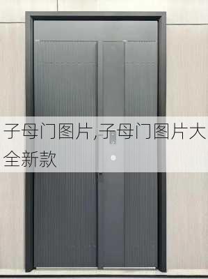 子母门图片,子母门图片大全新款