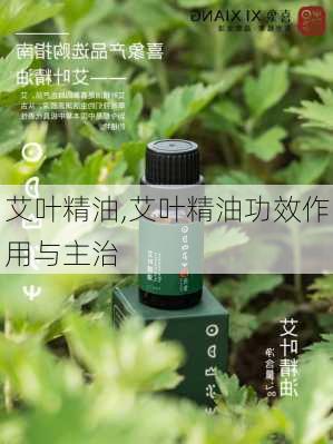 艾叶精油,艾叶精油功效作用与主治