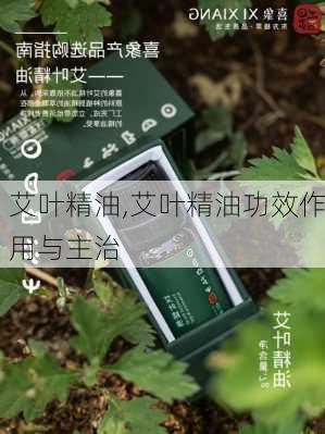 艾叶精油,艾叶精油功效作用与主治