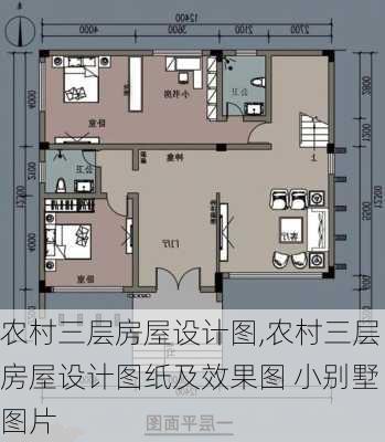 农村三层房屋设计图,农村三层房屋设计图纸及效果图 小别墅图片