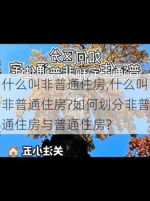 什么叫非普通住房,什么叫非普通住房?如何划分非普通住房与普通住房?