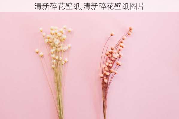 清新碎花壁纸,清新碎花壁纸图片