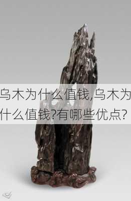 乌木为什么值钱,乌木为什么值钱?有哪些优点?